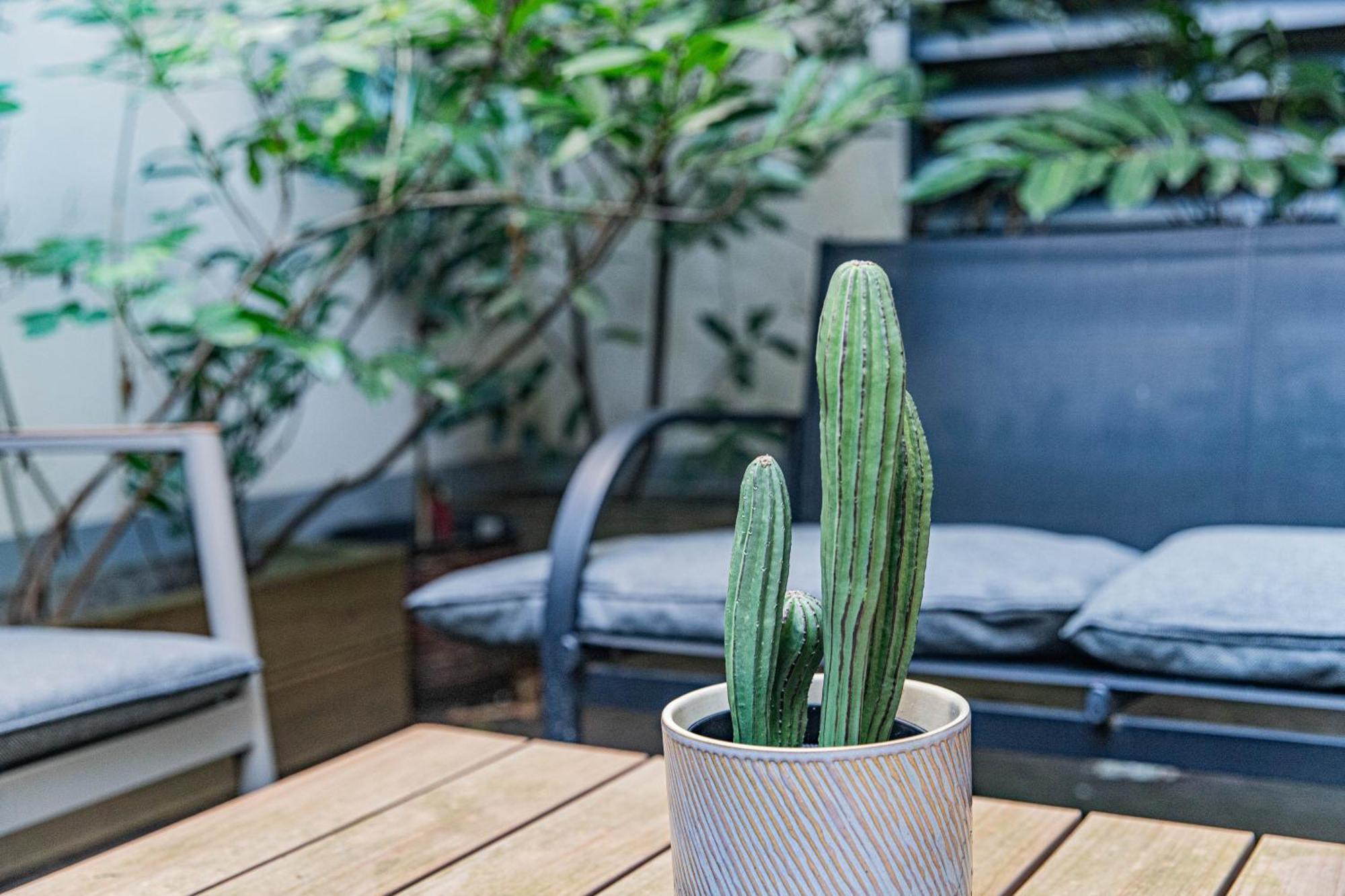 Apartamento Garden Near Haydnpark